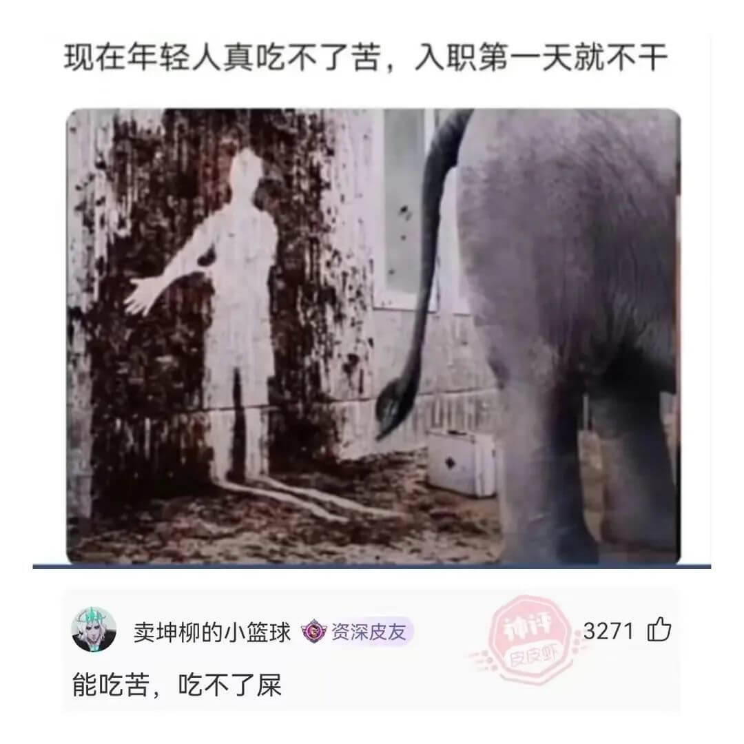 现在年轻人真吃不了苦，入职第一天就不干卖坤柳的小篮球资深皮友