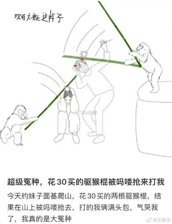 现场大片样子超级冤种，花30买的驱猴棍被吗喽抢来打我。今天约
