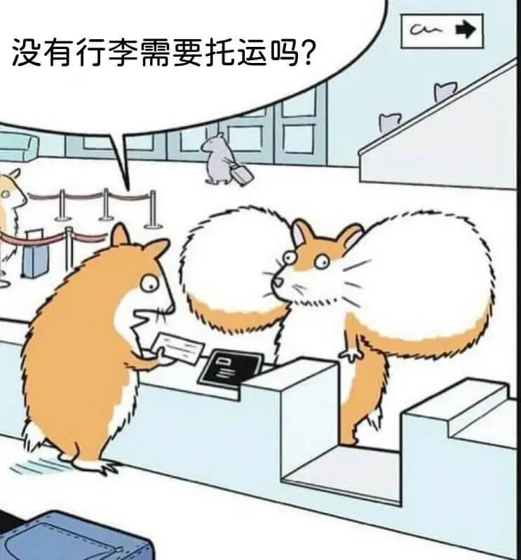 没有行李需要托运吗？