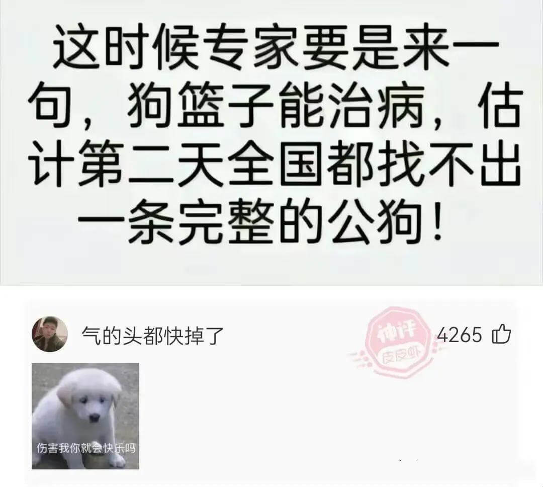 这时候专家要是来一句，狗篮子能治病，估计第二天全国都找不出一