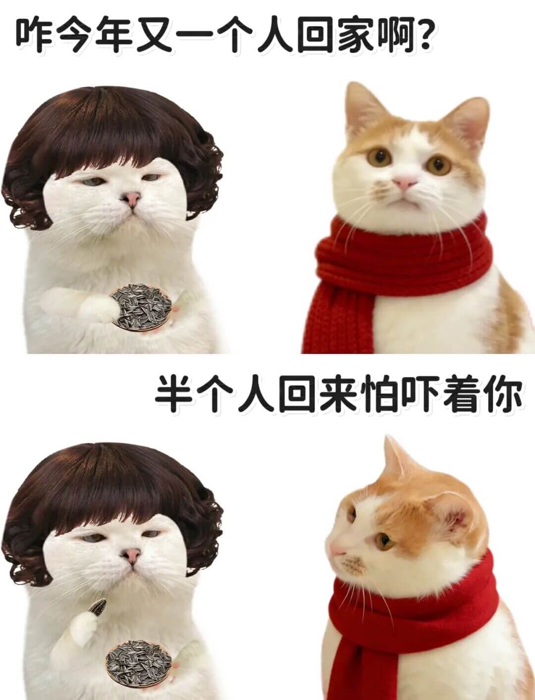 唯咋今年又一个人回家啊？半个人回来，怕吓着你。