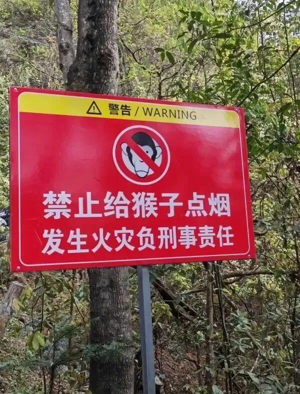 警告/WARNING禁止给猴子点烟，发生火灾负刑事责任