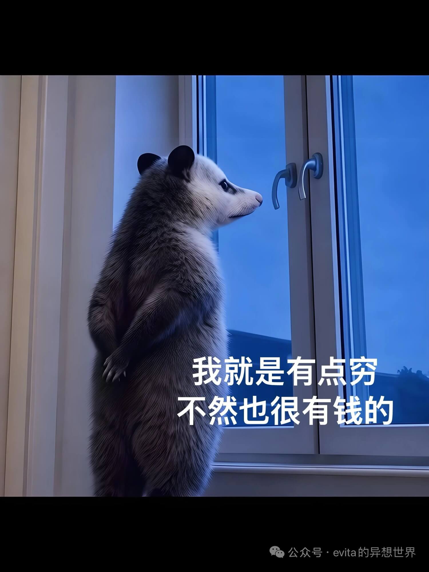 我就是有点穷,不然也很有钱的。公众号·evita的异想世界