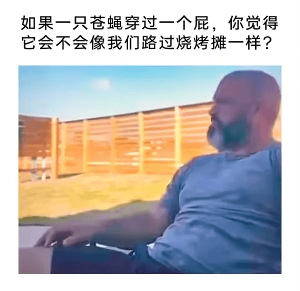 如果一只苍蝇穿过一个屁，你觉得它会不会像我们路过烧烤摊一样？