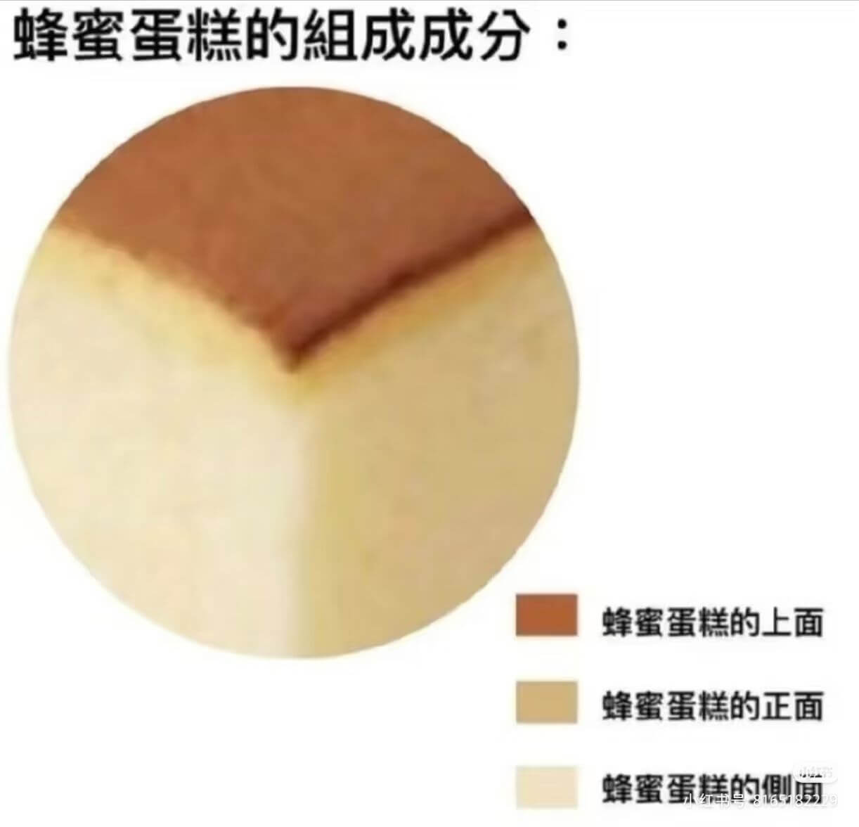 蜂蜜蛋糕的组成成分:蜂蜜蛋糕的上面蜂蜜蛋糕的正面蜂蜜蛋糕的背