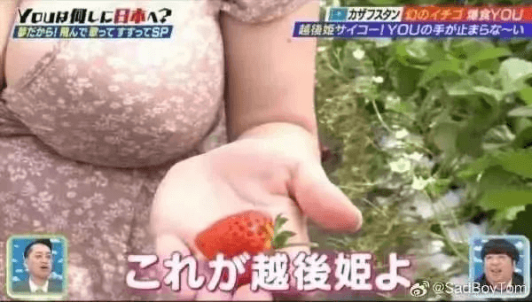 YOuhLEBA？OO食YO每德姬寸了/YOU手止走5存一乙
