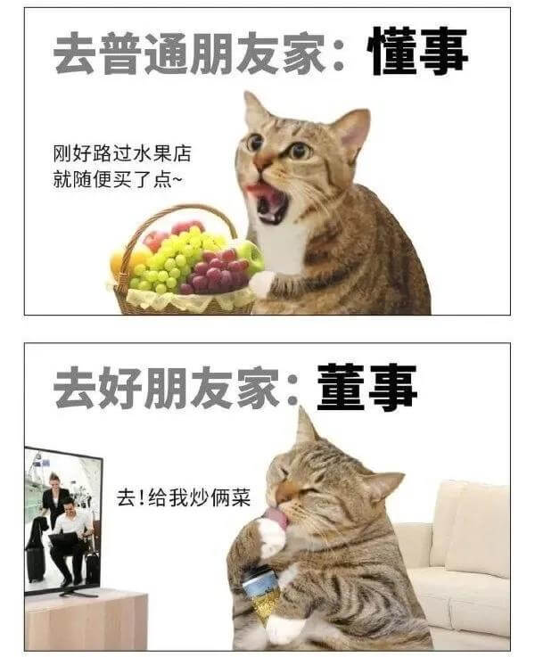 去普通朋友家：懂事刚好路过水果店，就随便买了点～去好朋友家：
