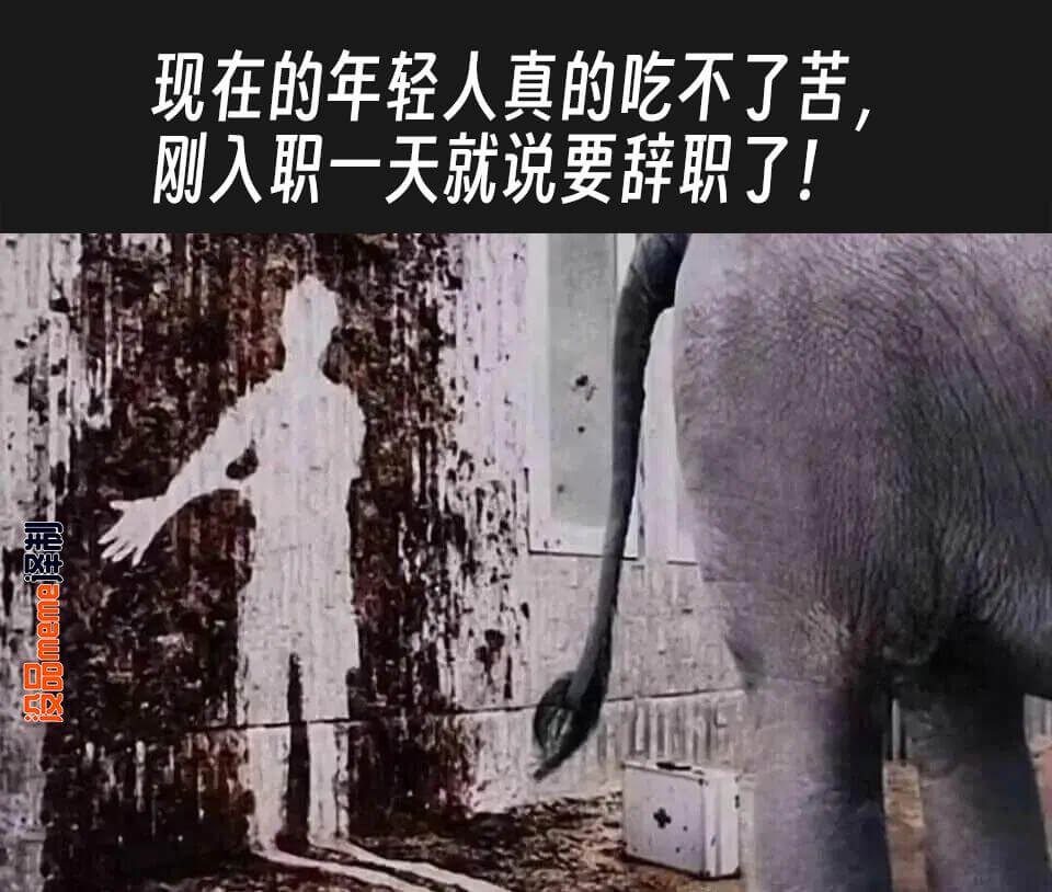 现在的年轻人真的吃不了苦，刚入职一天就说要辞职了！泽制设品m