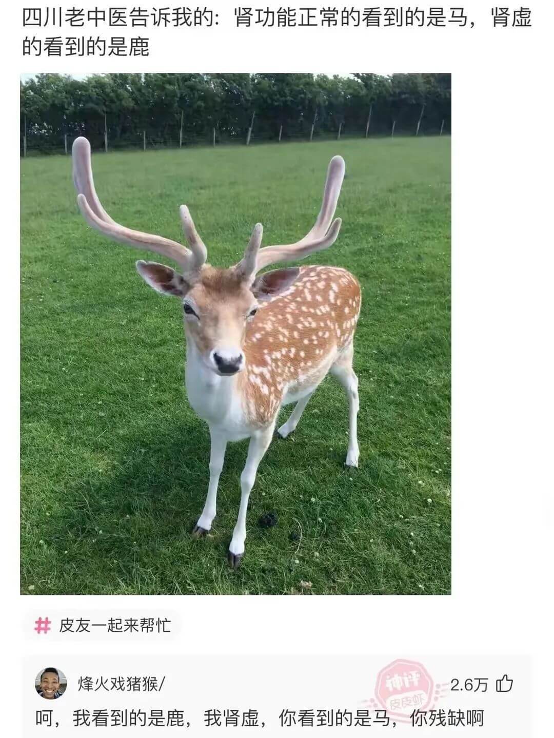 四川老中医告诉我的：肾功能正常的看到的是马，肾虚的看到的是鹿