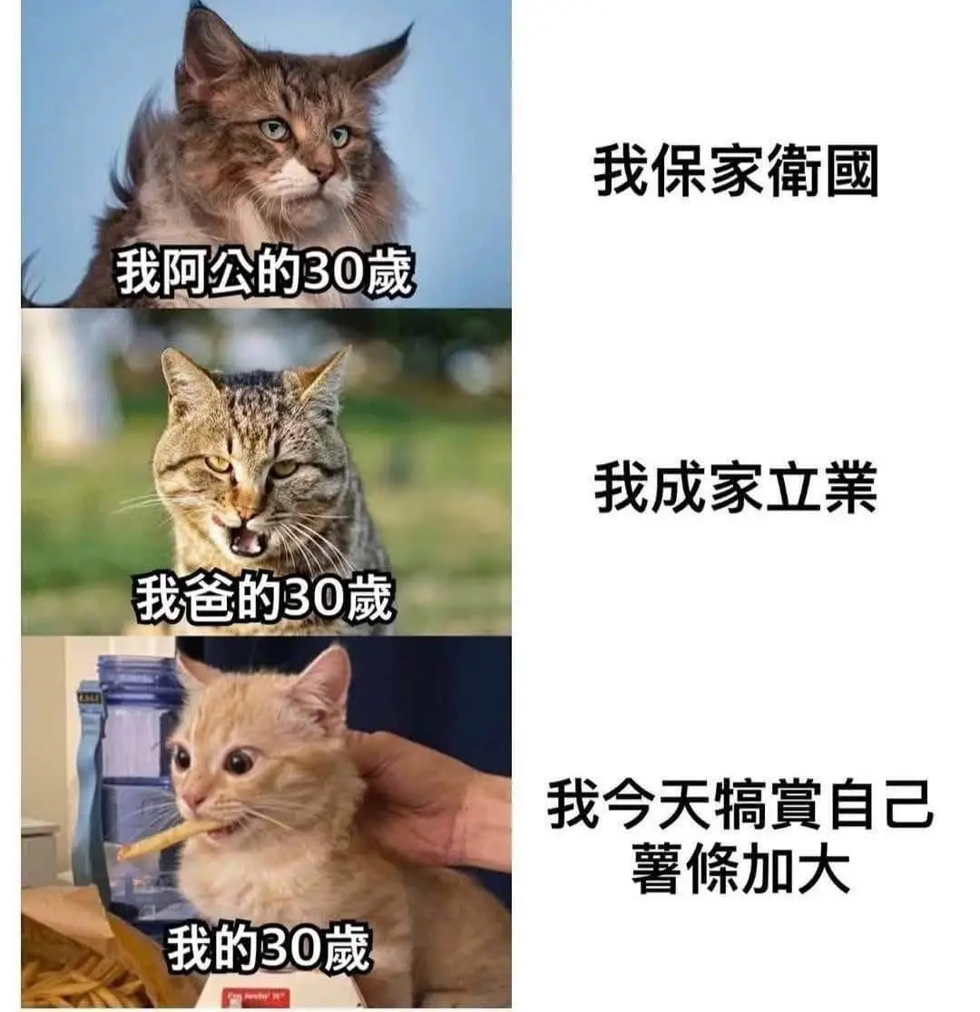 我保家衛國我阿公的30藏我成家立業我爸的30藏我今天搞實自己