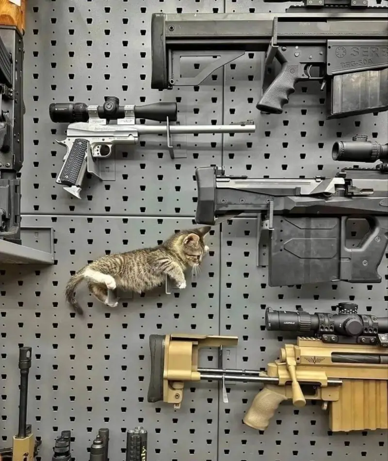 SERBFG-50A