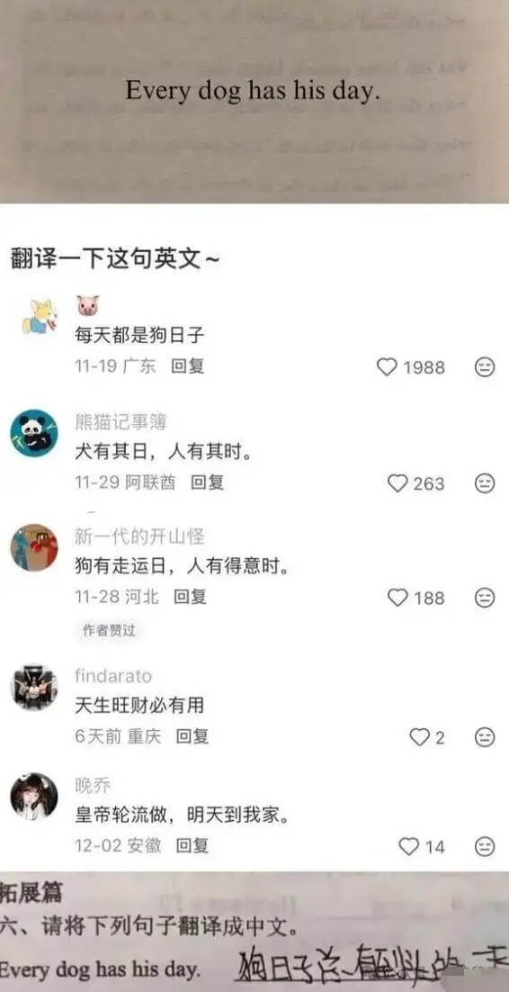 Everydoghashisday.翻译一下这句英文~每天都
