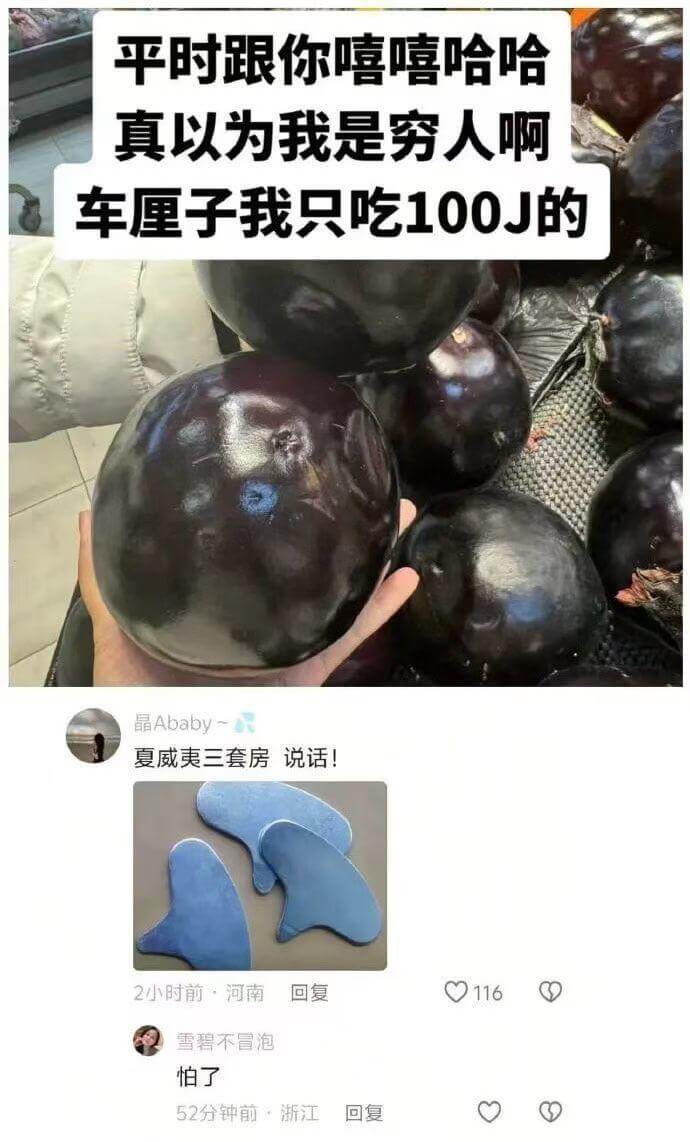 平时跟你嘻嘻哈哈，真以为我是穷人啊？车厘子我只吃100J的！
