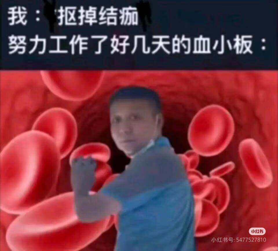 我：掉结痧努力工作了好几天的血小板小红书小红书号：54775