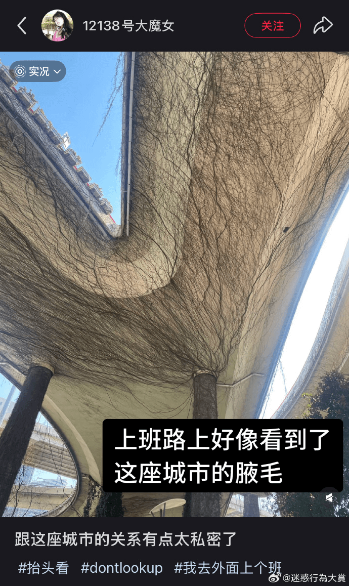12138号大魔女关注？实况上班路上好像看到了这座城市的腋毛