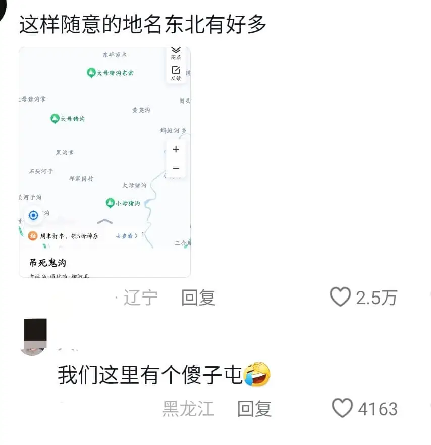 这样随意的地名东北有好多东毕家木V图层大母猪沟东金反镜上母猪