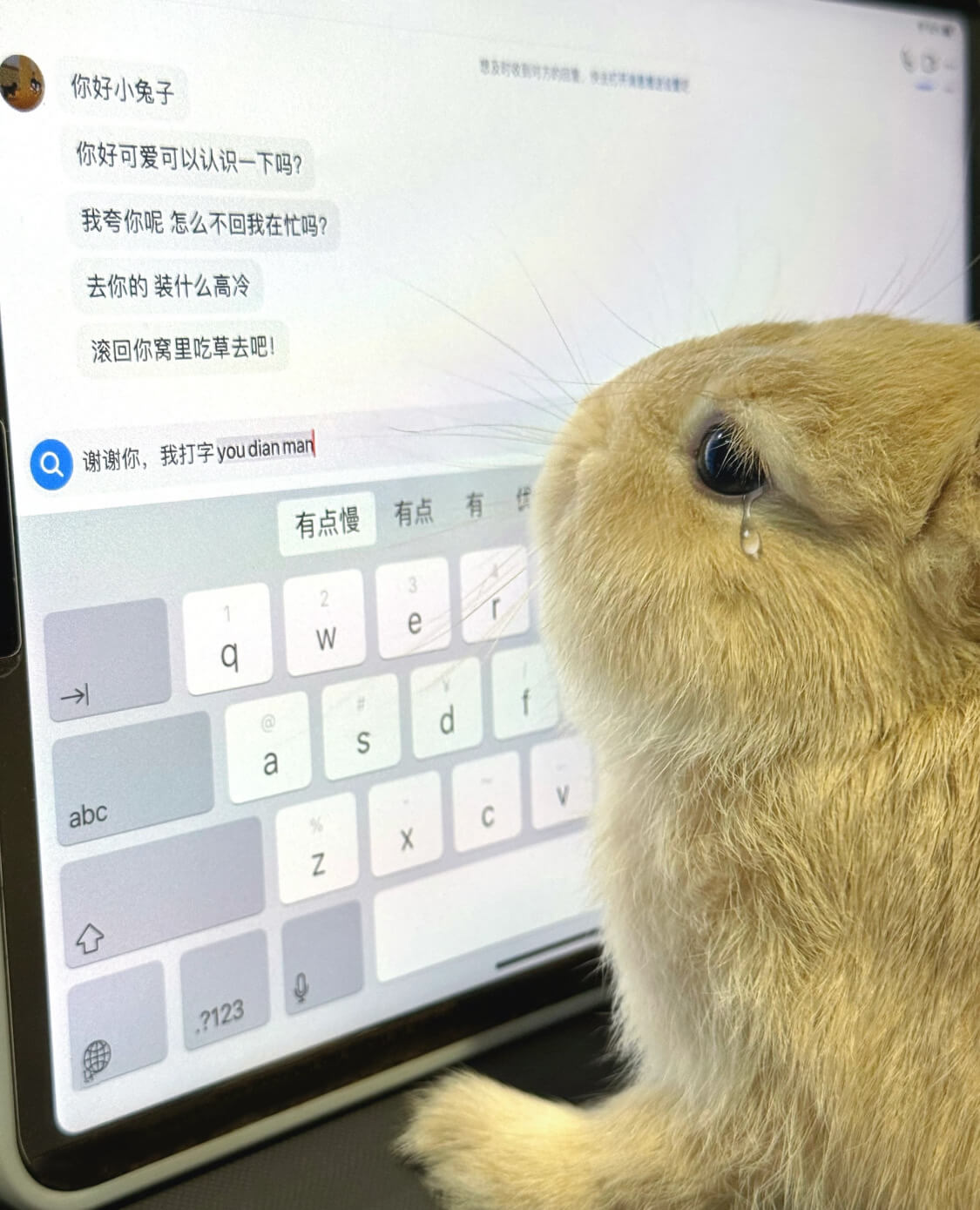 你好小兔子你好可爱可以认识一下吗？我夸你呢怎么不回我在忙吗？