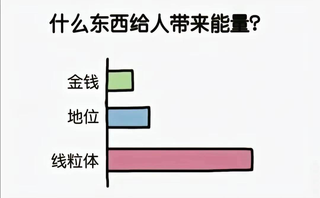 什么东西给人带来能量？金钱、地位、线粒体
