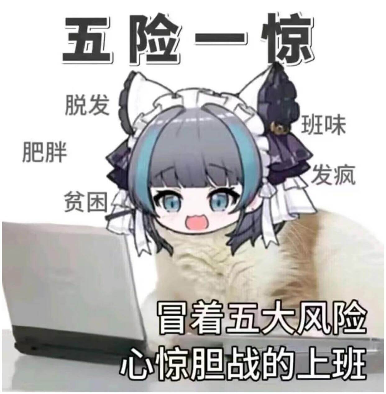 五险一金脱发班味肥胖发疯贫困冒着五大风险，心惊胆战的上班