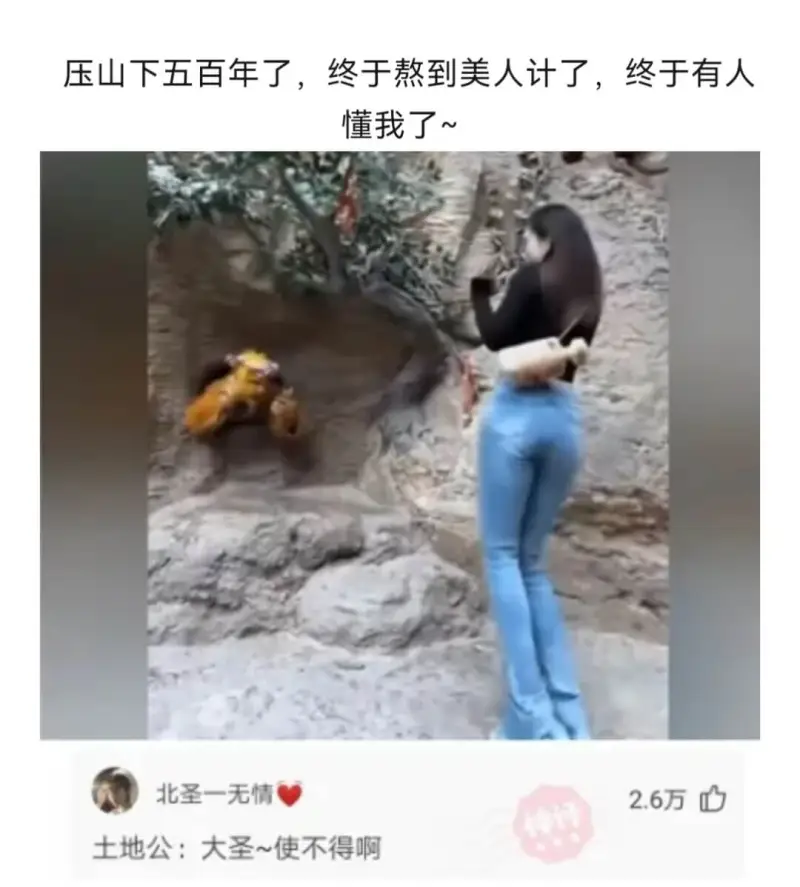 压山下五百年了，终于熬到美人计了，终于有人懂我了～北圣一无情