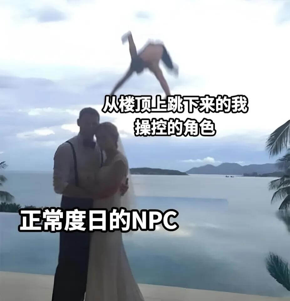 从楼顶上跳下来的我操控的角色正常度日的NPC
