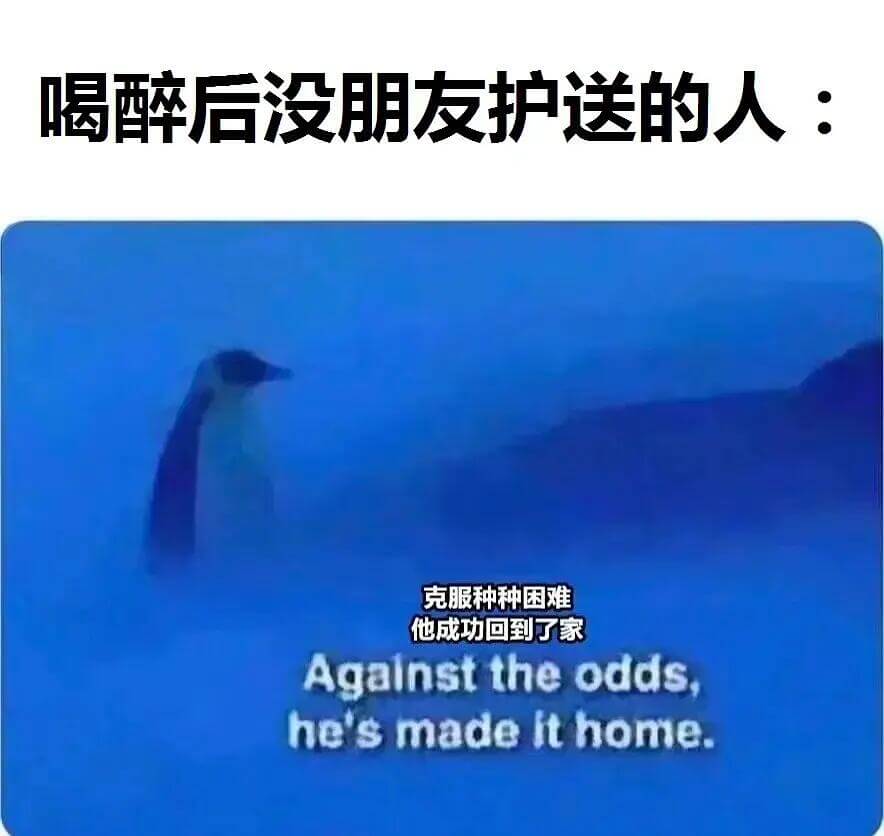 喝醉后没朋友护送的人：克服种种困难，他成功回到了家。Agai