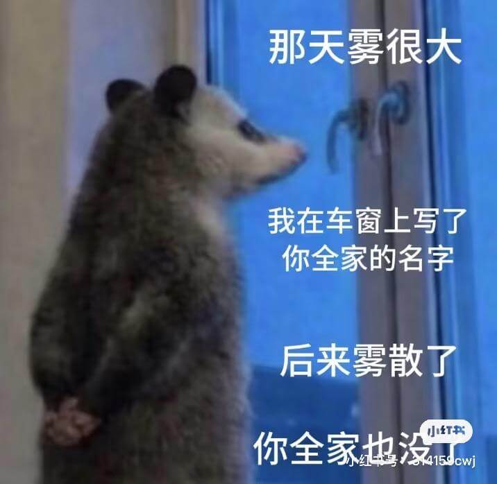 那天雾很大，我在车窗上写了你全家的名字。后来雾散了。小红书