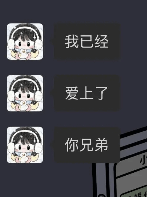 我已经爱上了你兄弟