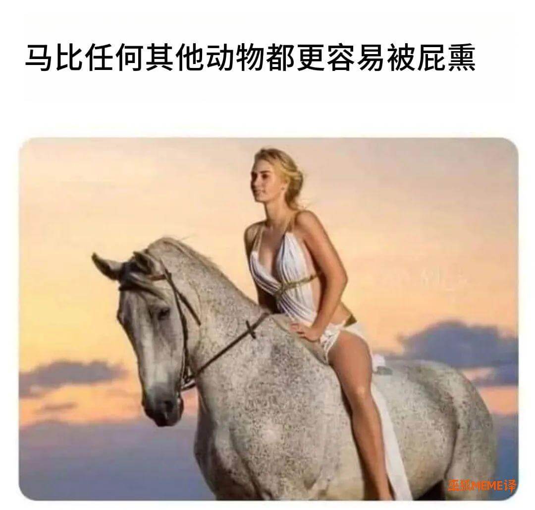 马比任何其他动物都更容易被屁熏。王EME译