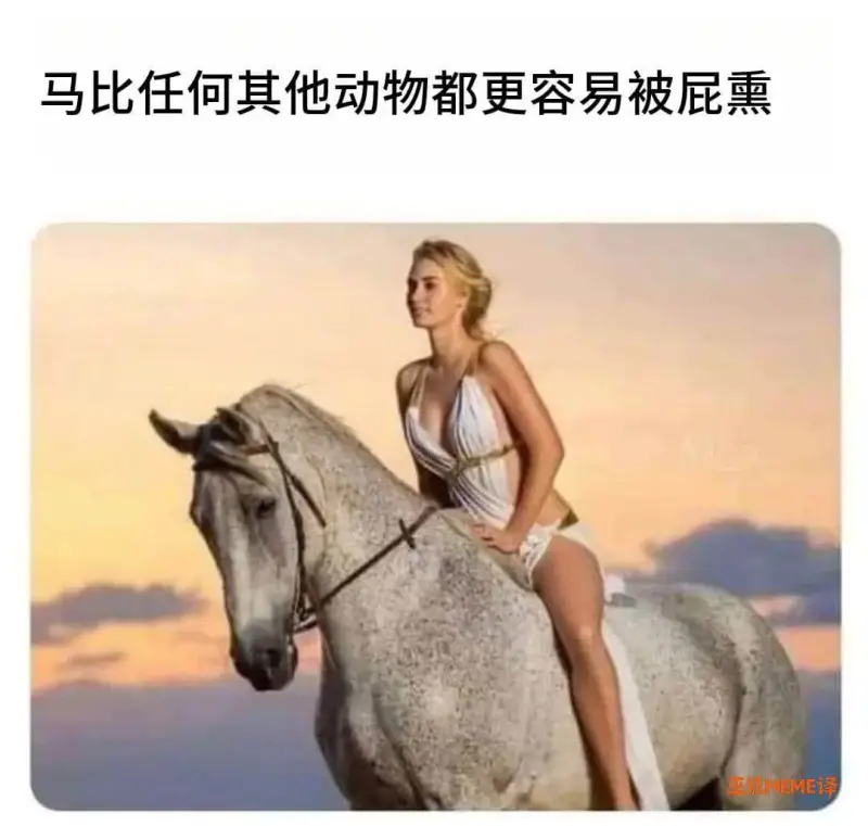 马比任何其他动物都更容易被屁熏。王EME译