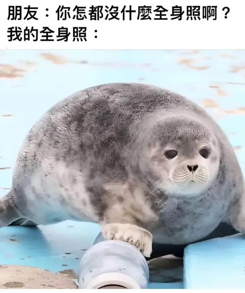 朋友：你怎都没什么全身照啊？我的全身照：