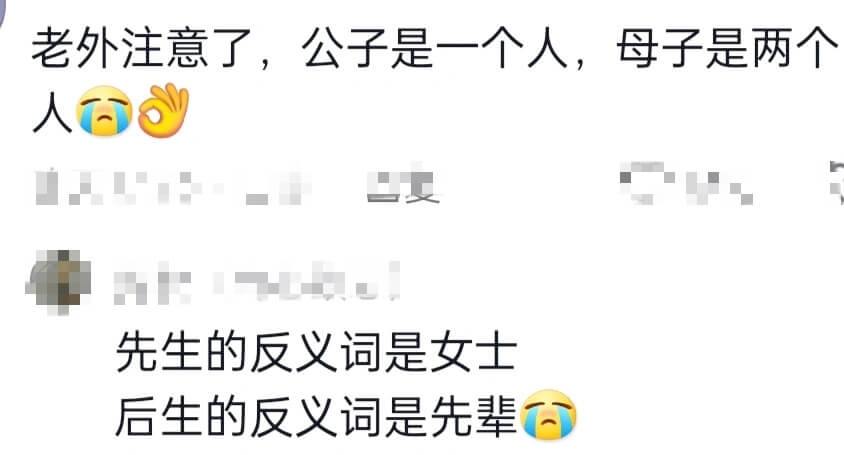 老外注意了,公子是一个人,母子是两个人5先生的反义词是女士后