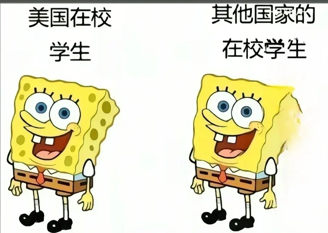 美国在校其他国家的学生在校学生