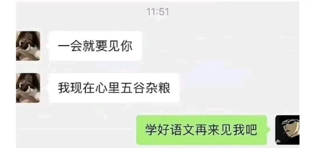 一会就要见你我现在心里五谷杂粮学好语文再来见我吧