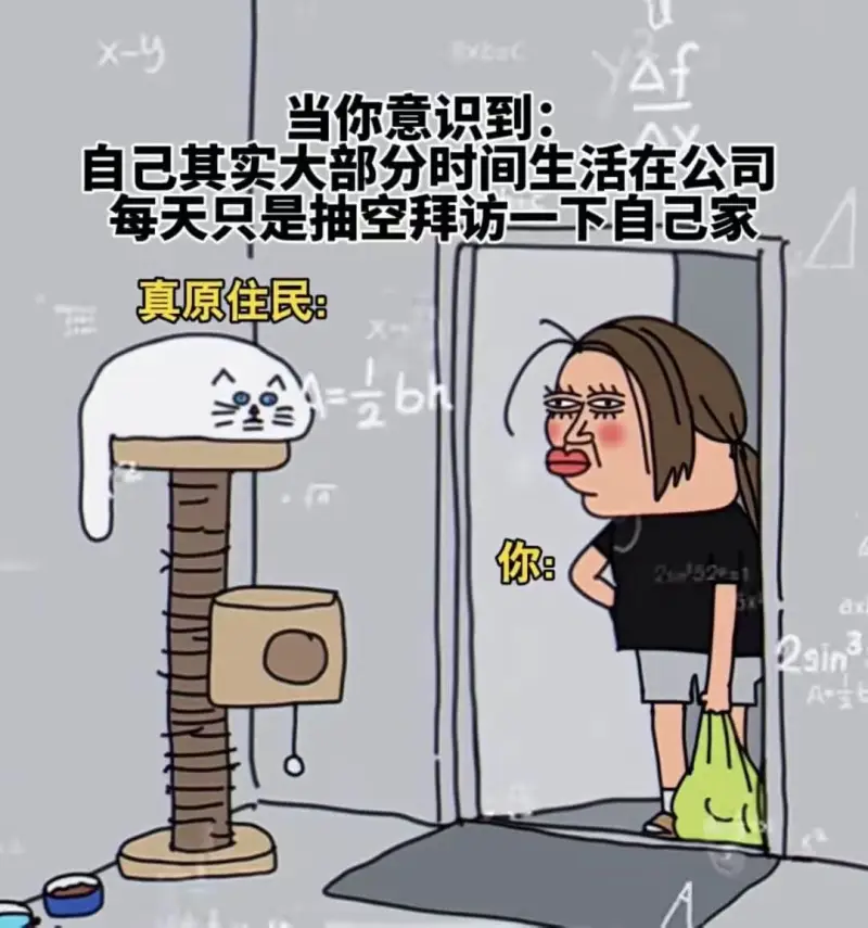 当你意识到：自己其实大部分时间生活在公司每天只是抽空拜访一下