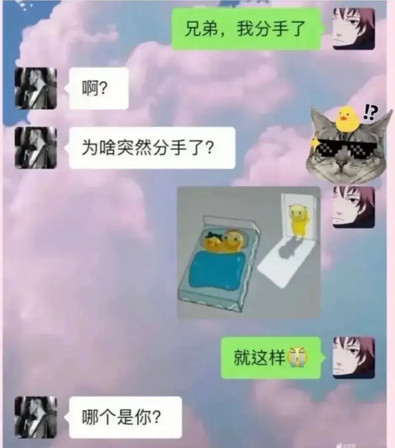 兄弟，我分手了啊?为啥突然分手了?就这样哪个是你?
