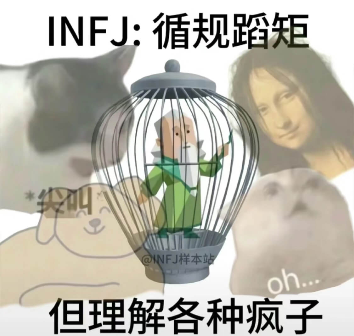 INFJ：循规蹈矩@INFJ样本但理解各种疯子