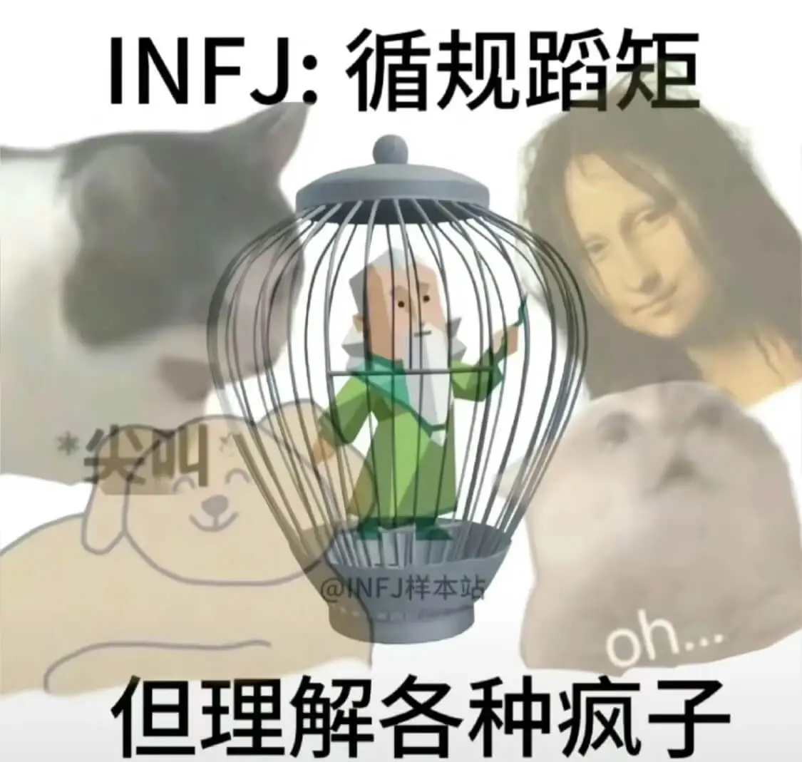INFJ:循规蹈矩@INFJ样本但理解各种疯子