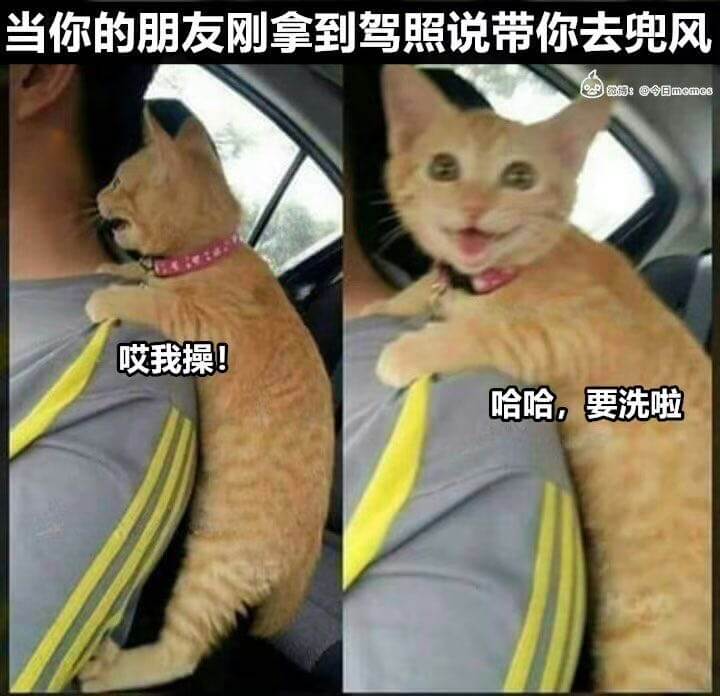 当你朋友刚拿到驾照说带你去兜风微博:@今日memes哎我操！