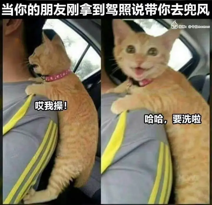 当你朋友刚拿到驾照说带你去兜风微博:@今日memes哎我操！