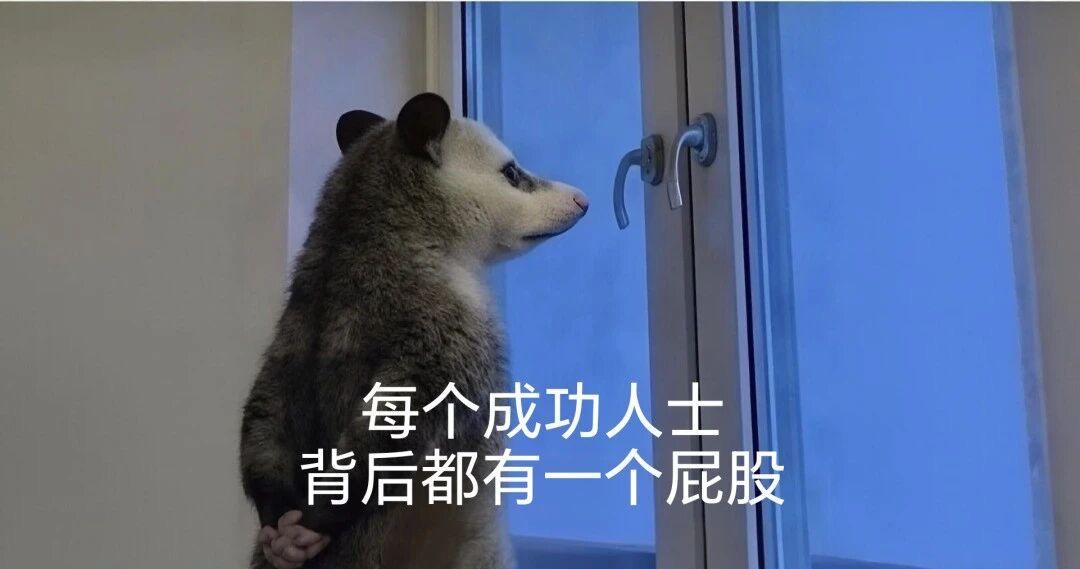 每个成功人士背后都有一个屁股