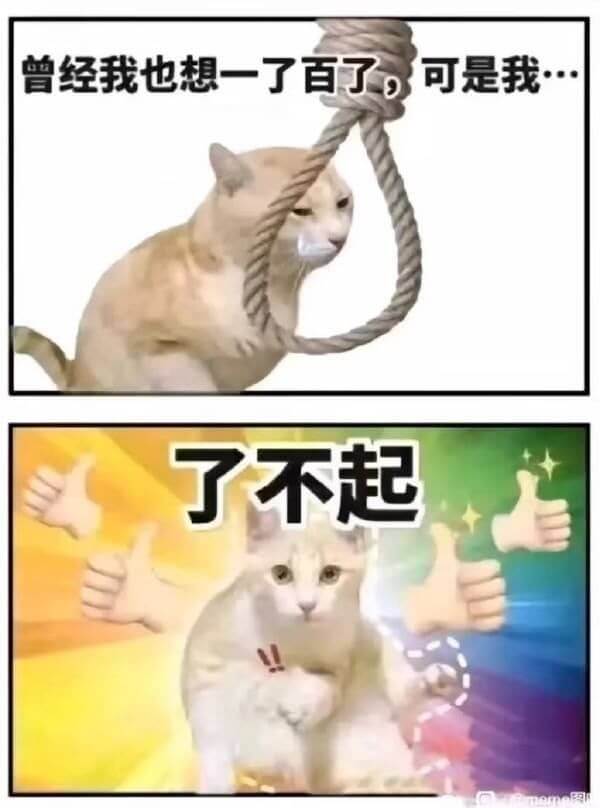 曾经我也想一了百了，可是我·了不起