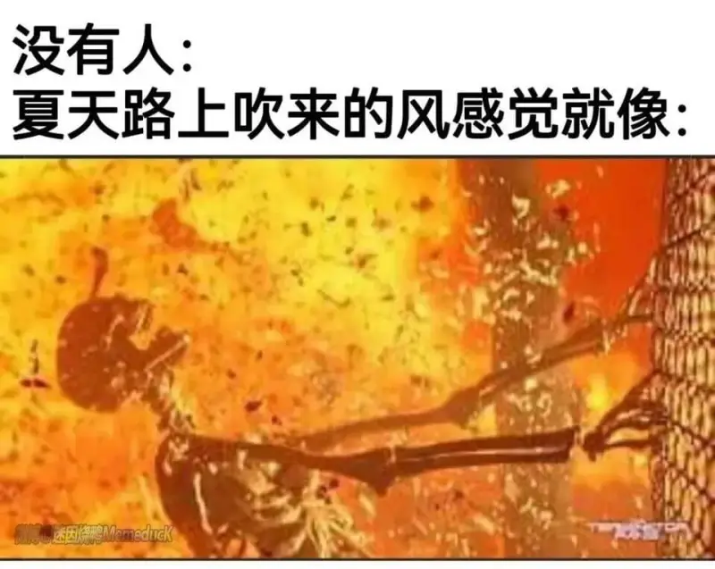 没有人:夏天路上吹来的风感觉就像：微博迷因烧鸭Memeduc
