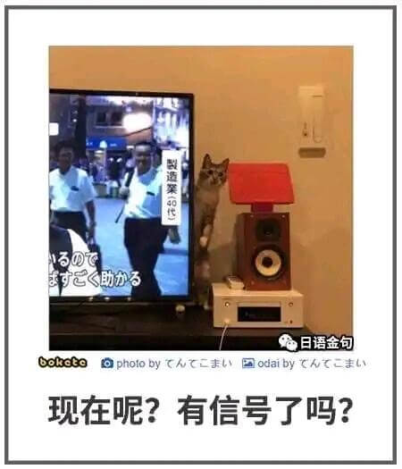 307助办日语金句包boketeopholobyh国odai