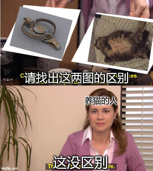 请找出这两图的区别养猫的人这没区别imgfip.com