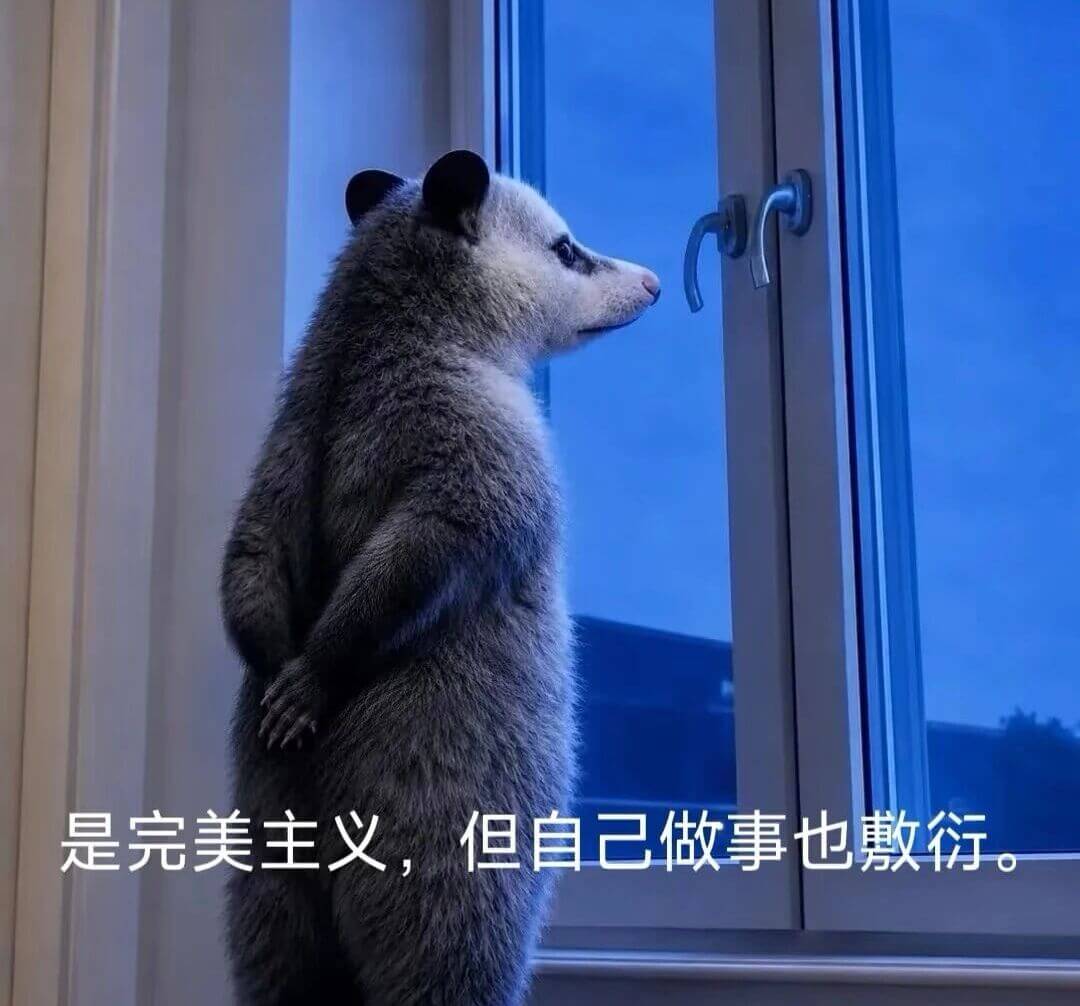 是完美主义，但自己做事也敷衍
