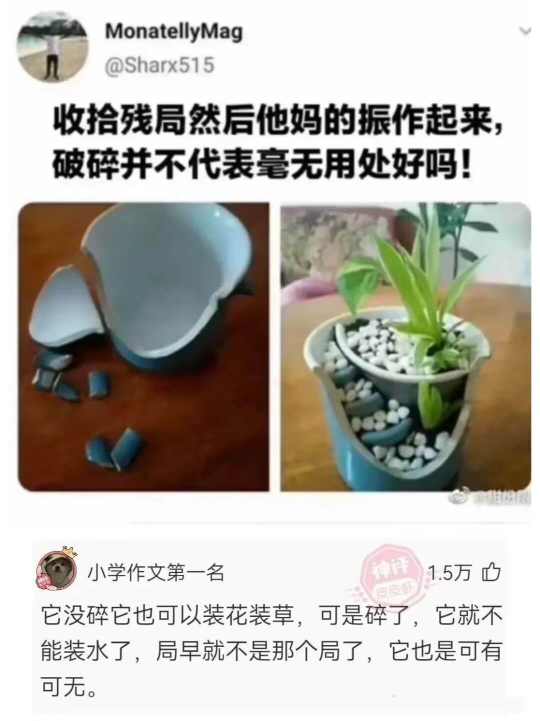 MonatellyMag@Sharx515收拾残局然后他妈的