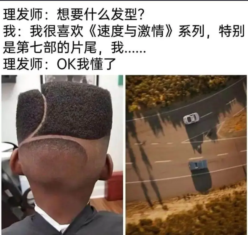 理发师:想要什么发型?我:我很喜欢《速度与激情》系列，特别是