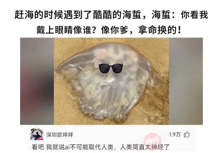 赶海的时候遇到了酷酷的海蜇，海蜇：你看我戴上眼睛像谁？像你爹