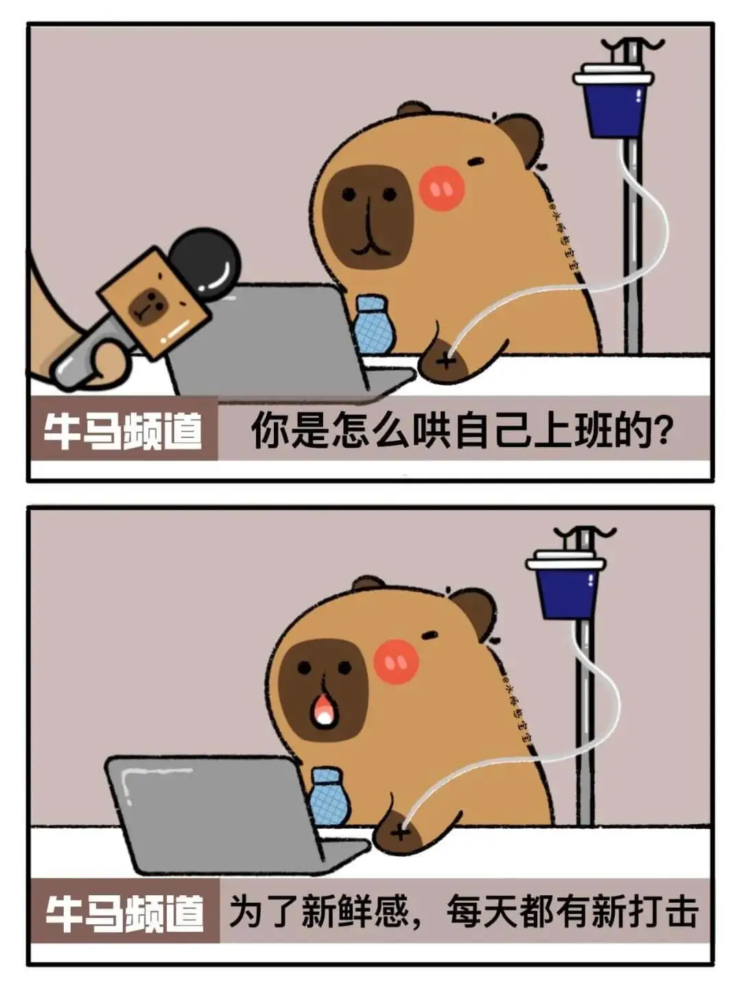 牛马频道你是怎么哄自己上班的？牛马频道为了新鲜感，每天都有新